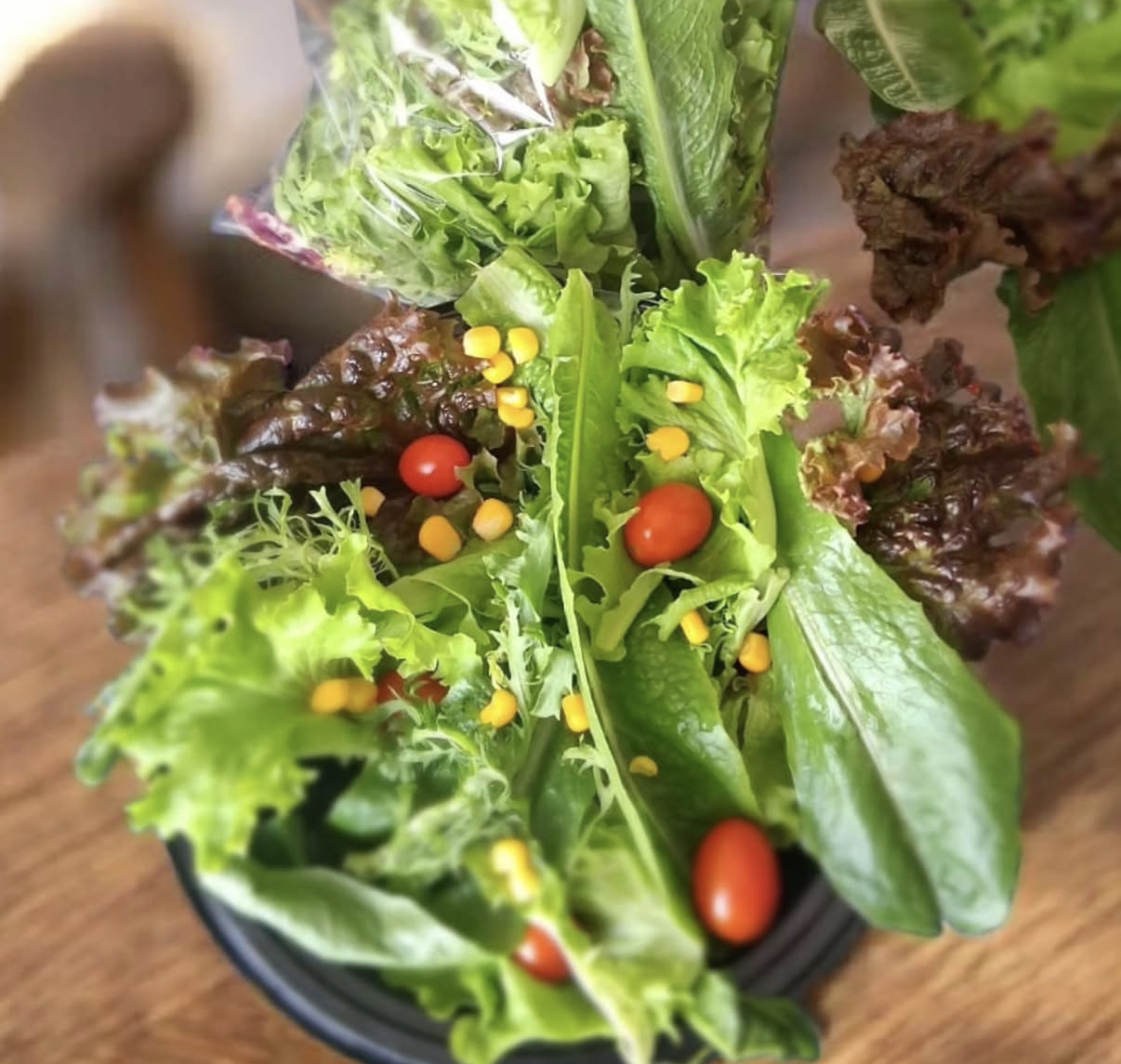Ensalada de hojas verdes lista para disfrutar, imagen de referencia